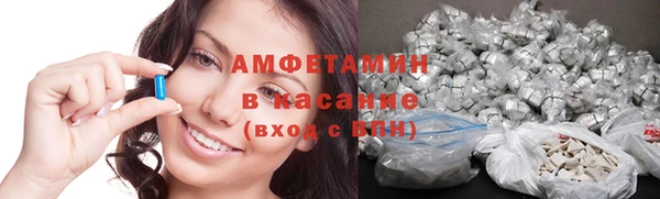 шишки Алексин