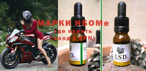 шишки Алексин