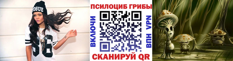 Псилоцибиновые грибы GOLDEN TEACHER купить закладку ссылка на мегу ONION Абаза